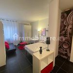 Rent 1 bedroom apartment of 35 m² in Torino