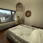 Rent 3 bedroom house in Tielt