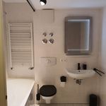 Miete 1 Schlafzimmer wohnung von 40 m² in Munich