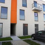 Rent 2 bedroom apartment of 85 m² in Deinze