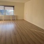 Rent 1 bedroom apartment of 61 m² in Heemstede