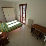Affitto 3 camera appartamento di 82 m² in Rosignano Marittimo