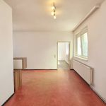 Rent 5 bedroom apartment of 119 m² in Neckenmarkt