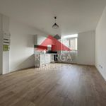 Appartement de 4123 m² avec 2 chambre(s) en location à Mazamet