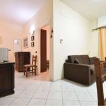 Rent 3 bedroom apartment of 65 m² in Loano