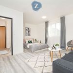 Rent 1 bedroom apartment of 33 m² in Ústí nad Labem