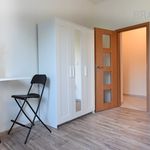 Rent 1 bedroom apartment of 22 m² in Praha