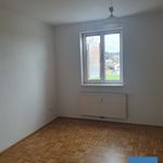 Rent 3 bedroom apartment of 76 m² in Enzenkirchen