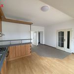 Rent 2 bedroom apartment of 85 m² in Prestice