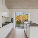 Rent 5 bedroom house of 126 m² in Silkeborg