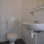 Rent 1 bedroom apartment of 22 m² in Breda