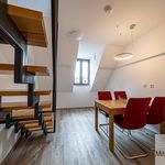Miete 2 Schlafzimmer wohnung von 59 m² in Nuremberg