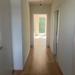 Rent 2 bedroom apartment of 53 m² in Graz