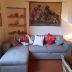 Rent 2 bedroom apartment of 50 m² in Greve in Chianti