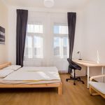 Rent 5 bedroom apartment in Prague