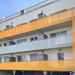 Rent 2 bedroom apartment of 52 m² in Schrems