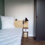 Miete 1 Schlafzimmer wohnung von 46 m² in Berlin