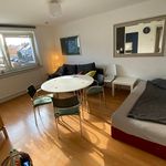 Rent 2 bedroom apartment of 42 m² in Regensburg