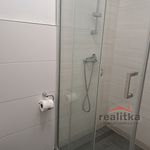Rent 1 bedroom apartment of 9 m² in Opava