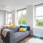 Rent 2 bedroom apartment of 36 m² in Delft