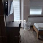 Rent 8 bedroom house of 215 m² in Debrecen