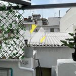 Rent 2 bedroom house of 70 m² in Patras
