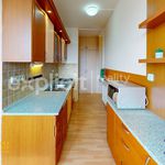 Rent 3 bedroom apartment of 65 m² in Zlín