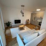 Rent 2 bedroom apartment of 55 m² in Schönefeld