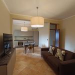 Rent 3 bedroom apartment of 98 m² in Alba