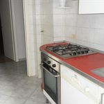 Rent 3 bedroom student apartment of 100 m² in Roma