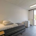 Appartement de 16 m² avec 1 chambre(s) en location à Sint-Gillis