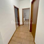 Affitto 4 camera appartamento di 85 m² in Verona