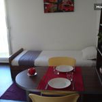 Rent 1 bedroom apartment of 23 m² in Lyon