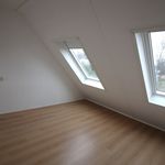 Rent 2 bedroom apartment of 58 m² in Drachten