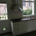 Huur 1 slaapkamer appartement van 40 m² in Arnhem