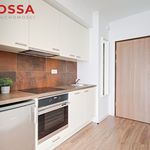 Rent 1 bedroom apartment of 27 m² in Łódź