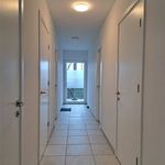 Rent 2 bedroom apartment in Borgloon