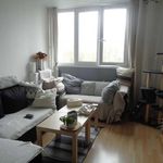 Rent 2 bedroom apartment of 53 m² in Mons-en-Baroeul