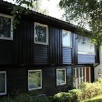 Rent 1 bedroom apartment of 41 m² in Bergen