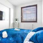 Rent 1 bedroom apartment in Kolbudy