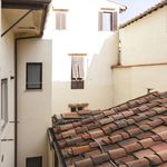 Rent 1 bedroom apartment in Florence