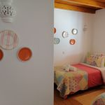 Rent 1 bedroom house of 50 m² in Torre