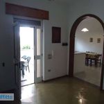 Affitto 4 camera appartamento di 100 m² in Maruggio