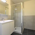 Rent 1 bedroom apartment in Deinze