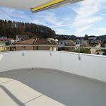 Rent 4 bedroom apartment of 103 m² in Gretzenbach
