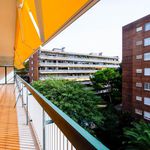 Rent 6 bedroom apartment of 6 m² in Cardeña