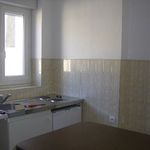 Rent 1 bedroom apartment of 23 m² in Le Creusot