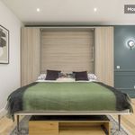 Rent 1 bedroom apartment of 33 m² in Lyon 1er Arrondissement