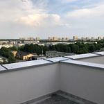Rent 4 bedroom apartment of 111 m² in Poznań