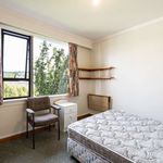 Rent 1 bedroom house in Dunedin